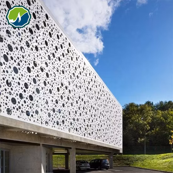 Ss Aluminum Galvanized Perforated Metal Sheet Filter Mesh Etching Punching Mesh