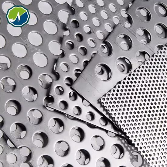 Ss Aluminum Galvanized Perforated Metal Sheet Filter Mesh Etching Punching Mesh