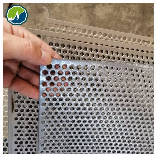 Ss Aluminum Galvanized Perforated Metal Sheet Filter Mesh Etching Punching Mesh